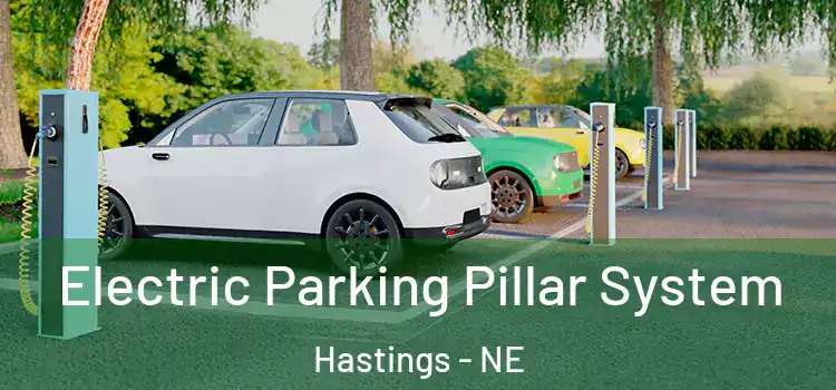 Electric Parking Pillar System Hastings - NE